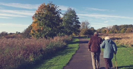 Clínica de cirugía y traumatología en Sevilla: infiltración articular de células madres mesenquimales