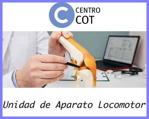Viamed Santa Ángela de la Cruz crea una Unidad de Aparato Locomotor con el objetivo de agilizar la atención a pacientes de Traumatología