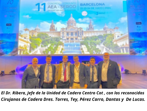 X Congreso AEA-SEROD 2023. Dr. Ribera. Mesas de Cirugía Artroscópica de Cadera